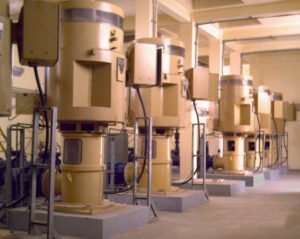 My beautiful picture